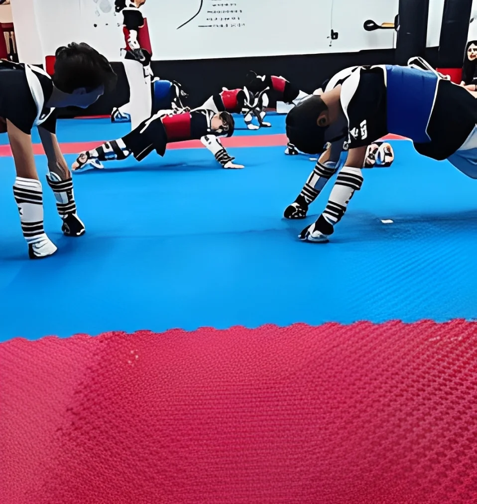 Sparring Class Program