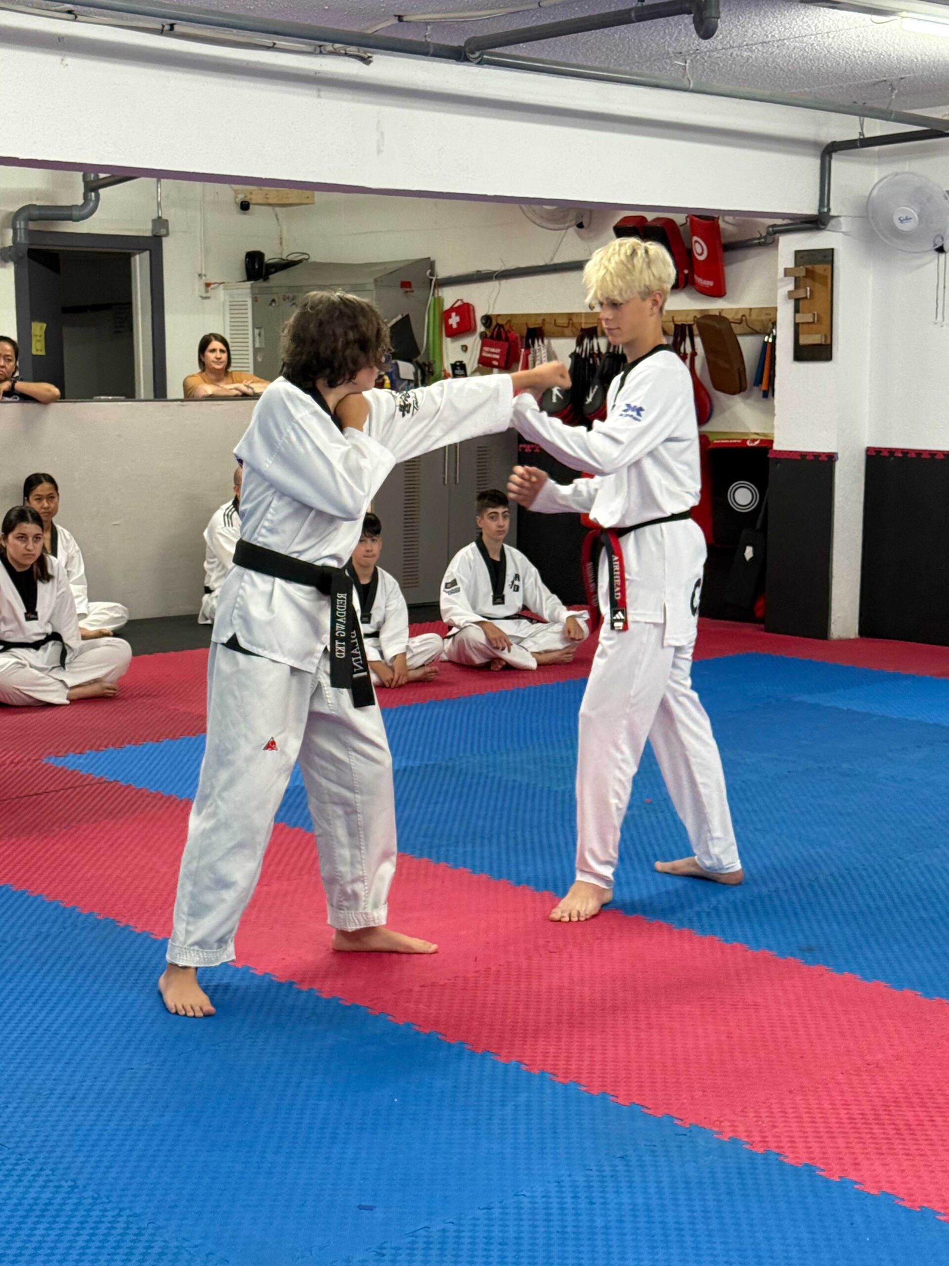 Taekwondo Self Defence